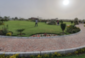 Commercial and Residencial Plots