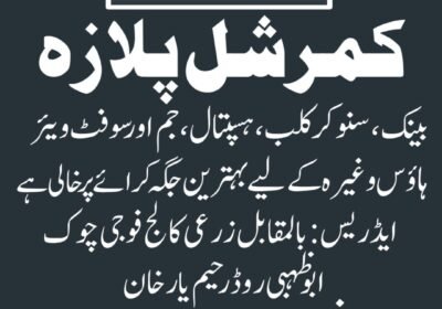 WhatsApp-Image-2025-04-07-at-3.00.50-PM